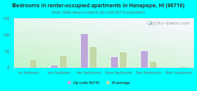 Bedrooms in renter-occupied apartments in Hanapepe, HI (96716) 