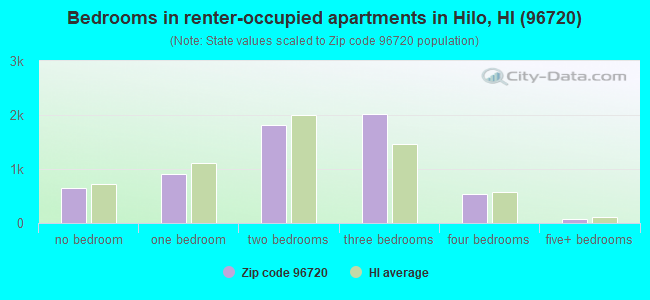 Bedrooms in renter-occupied apartments in Hilo, HI (96720) 