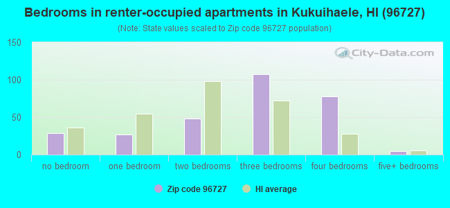 Bedrooms in renter-occupied apartments in Kukuihaele, HI (96727) 