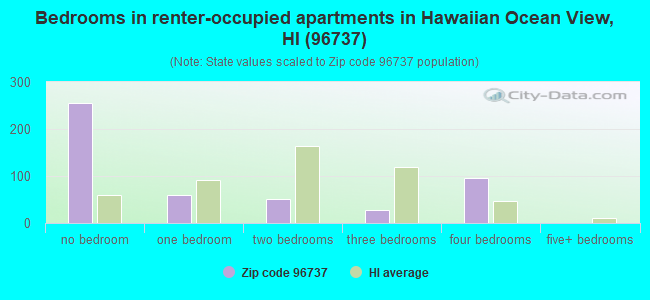Bedrooms in renter-occupied apartments in Hawaiian Ocean View, HI (96737) 