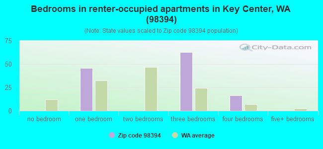 Bedrooms in renter-occupied apartments in Key Center, WA (98394) 