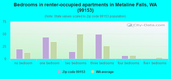 Bedrooms in renter-occupied apartments in Metaline Falls, WA (99153) 