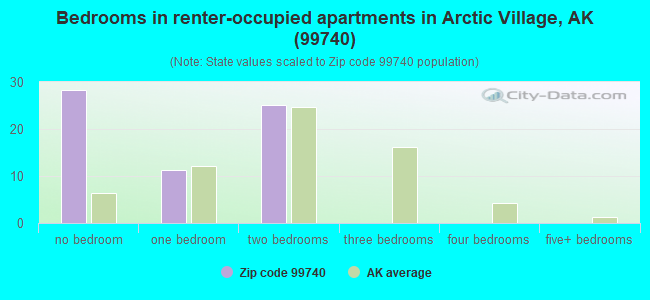Bedrooms in renter-occupied apartments in Arctic Village, AK (99740) 