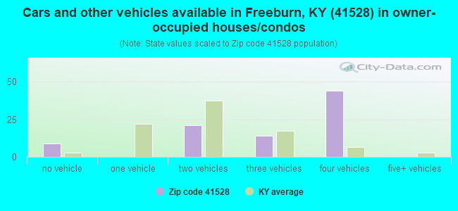 Cars and other vehicles available in Freeburn, KY (41528) in owner-occupied houses/condos