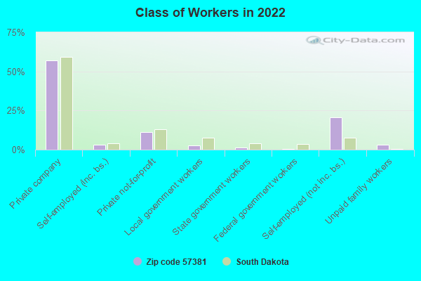 Class of Workers in 2022