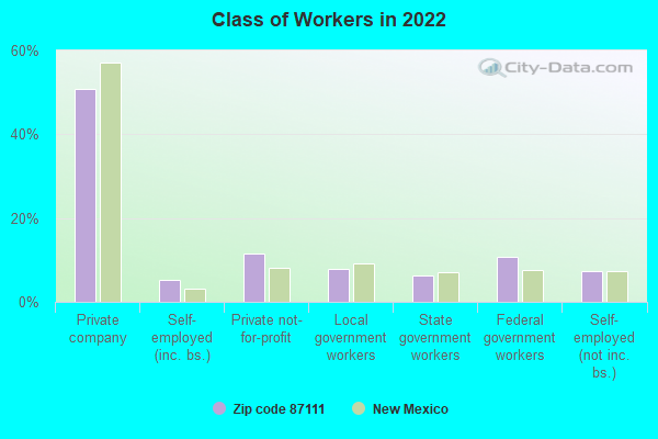 Class of Workers in 2022