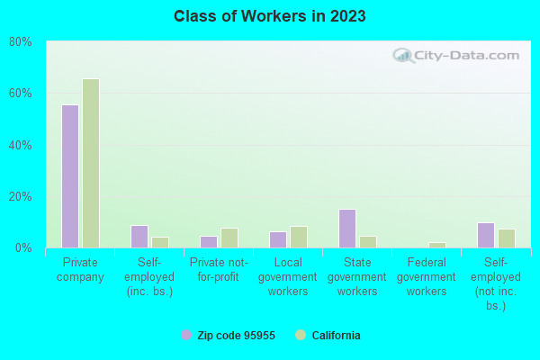 Class of Workers in 2021