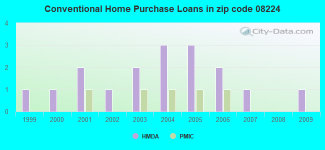 Conventional Home Purchase Loans in zip code 08224