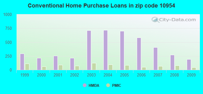 Conventional Home Purchase Loans in zip code 10954