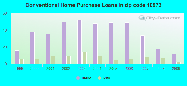 Conventional Home Purchase Loans in zip code 10973