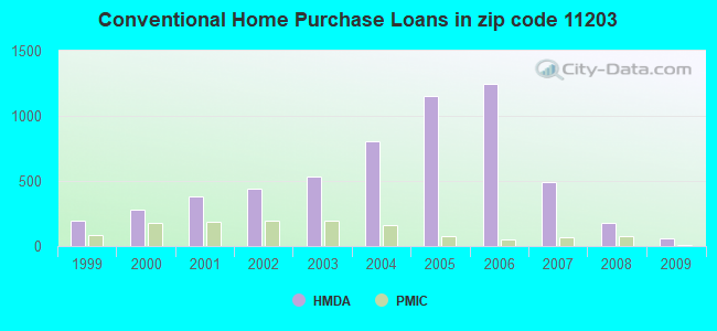 Conventional Home Purchase Loans in zip code 11203