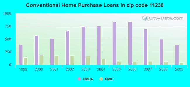 Conventional Home Purchase Loans in zip code 11238