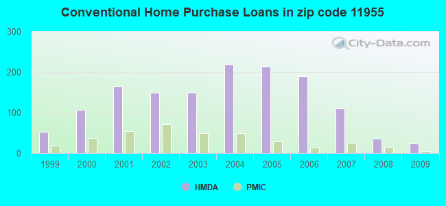 Conventional Home Purchase Loans in zip code 11955