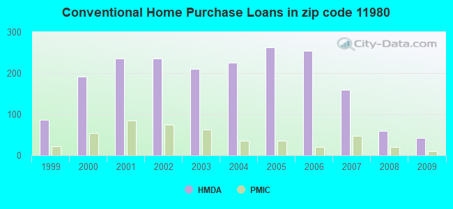 Conventional Home Purchase Loans in zip code 11980