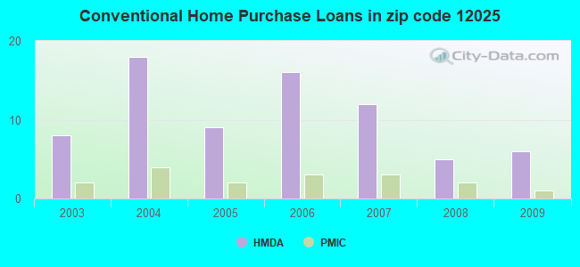 Conventional Home Purchase Loans in zip code 12025