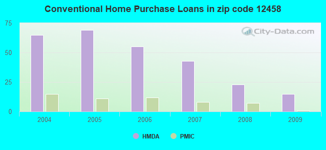 Conventional Home Purchase Loans in zip code 12458