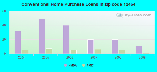 Conventional Home Purchase Loans in zip code 12464