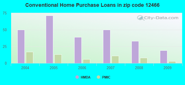 Conventional Home Purchase Loans in zip code 12466