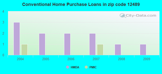 Conventional Home Purchase Loans in zip code 12489
