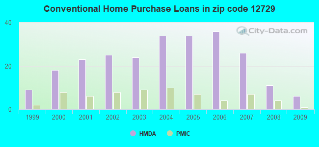 Conventional Home Purchase Loans in zip code 12729