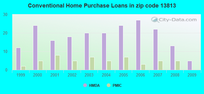 Conventional Home Purchase Loans in zip code 13813