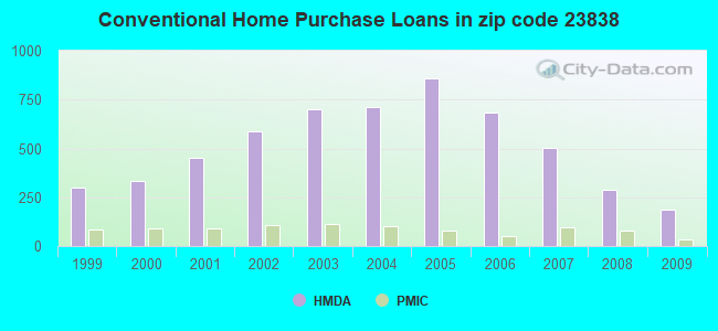 Conventional Home Purchase Loans in zip code 23838