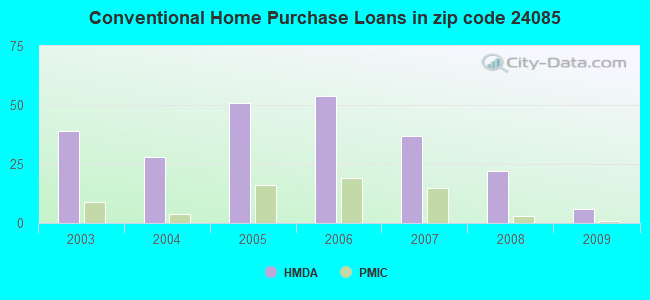 Conventional Home Purchase Loans in zip code 24085