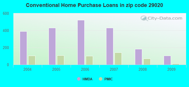 Conventional Home Purchase Loans in zip code 29020