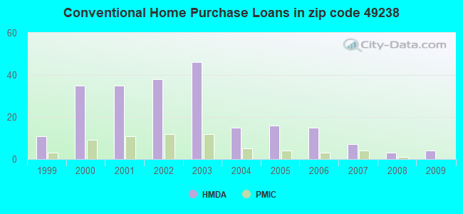 Conventional Home Purchase Loans in zip code 49238