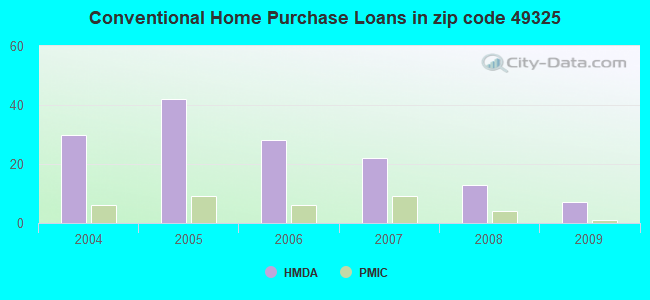 Conventional Home Purchase Loans in zip code 49325