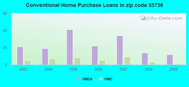 Conventional Home Purchase Loans in zip code 55736