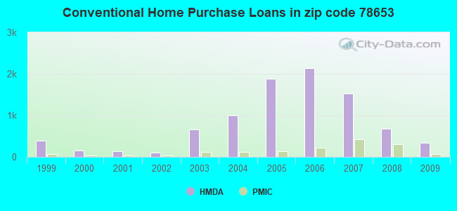 Conventional Home Purchase Loans in zip code 78653
