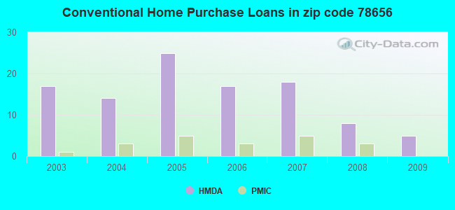 Conventional Home Purchase Loans in zip code 78656