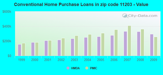 Conventional Home Purchase Loans in zip code 11203 - Value