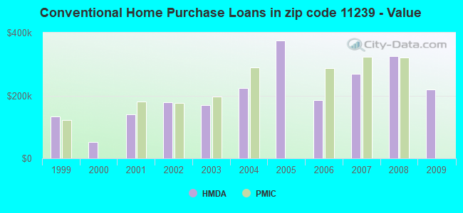 Conventional Home Purchase Loans in zip code 11239 - Value