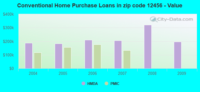 Conventional Home Purchase Loans in zip code 12456 - Value