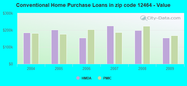Conventional Home Purchase Loans in zip code 12464 - Value