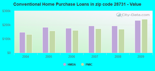 Conventional Home Purchase Loans in zip code 28731 - Value