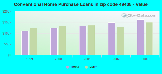 Conventional Home Purchase Loans in zip code 49408 - Value