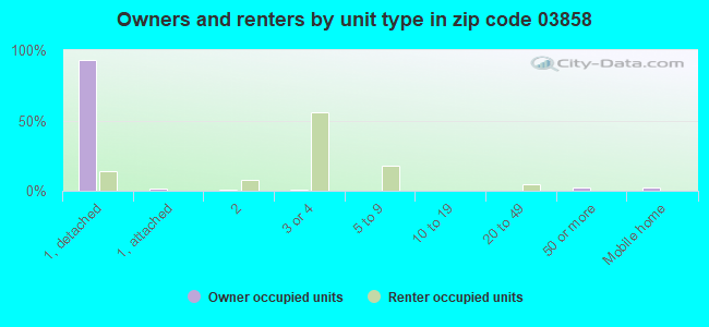 Owners and renters by unit type in zip code 03858