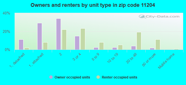 Owners and renters by unit type in zip code 11204