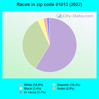 Races in zip code 01013 (2019)