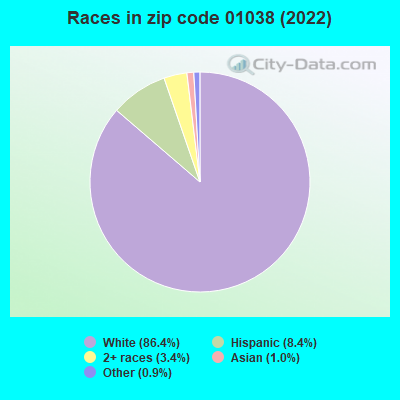 Races in zip code 01038 (2019)