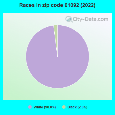 Races in zip code 01092 (2019)
