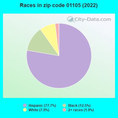 Races in zip code 01105 (2019)