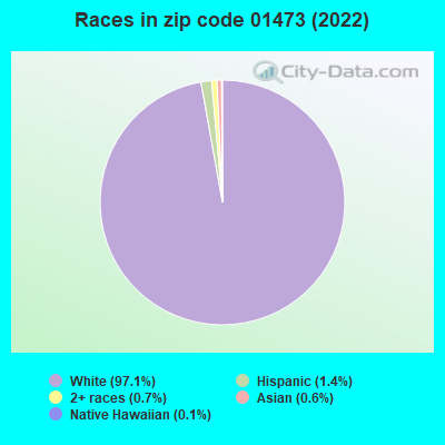 Races in zip code 01473 (2019)