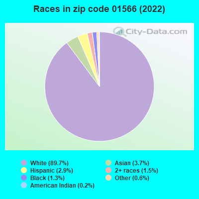 Races in zip code 01566 (2019)