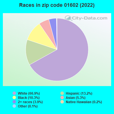 Races in zip code 01602 (2021)