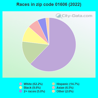 Races in zip code 01606 (2022)