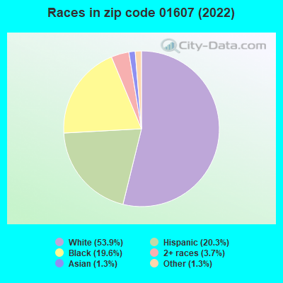 Races in zip code 01607 (2021)